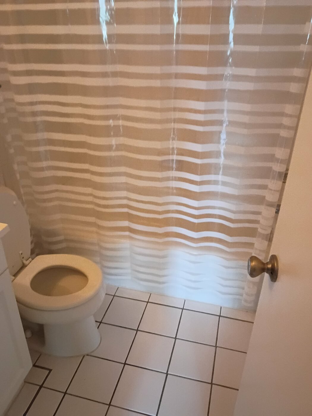 Bathroom shower cleaning